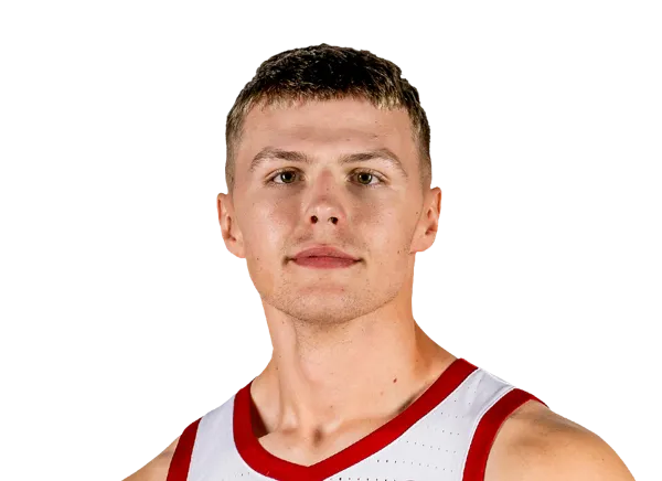 Elmir Dzafic, Basketball, University of Arkansas