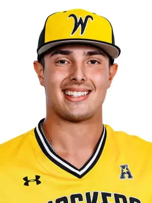 Arnad Mulanekic, Baseball, undefined