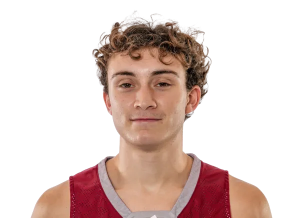 Maurizio D'Alessandro, Basketball, undefined