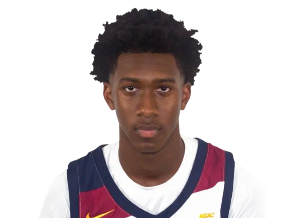 Derwin Hodge Jr., Basketball, undefined