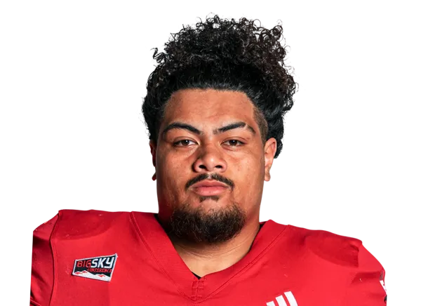 Jirah Leaupepetele, Football, Washington State University