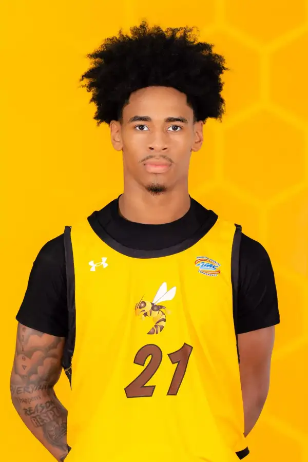 Michael Chaney, Jr., Basketball, Harris-Stowe State University