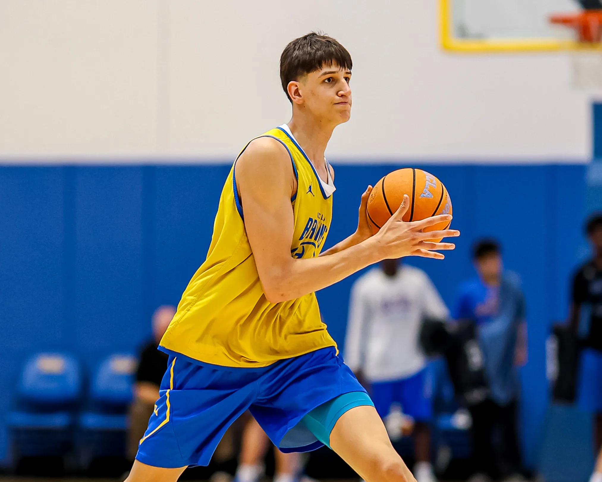 Nikola Kusturica, Basketball, University of California, Los Angeles