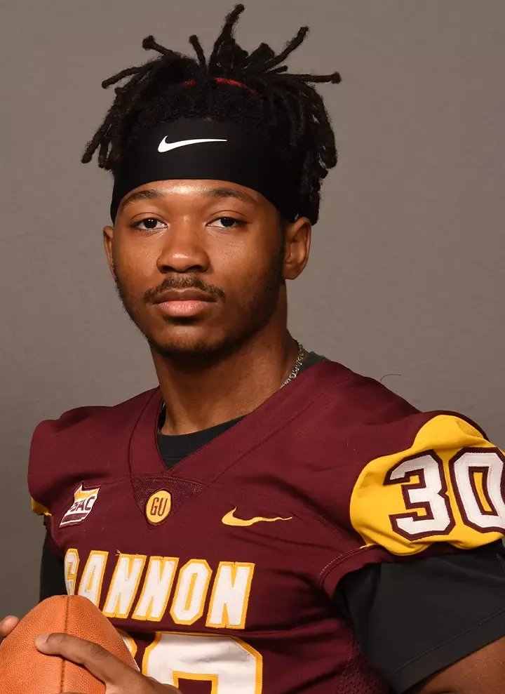Torey Anderson, Football, Gannon University
