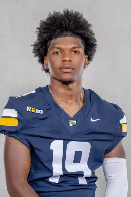 Vaughdrea Johnson, Football, Pace University