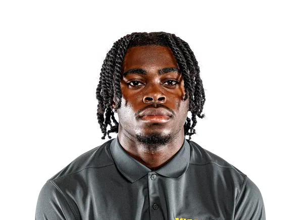 DaMarion Fowlkes, Football, University of Missouri