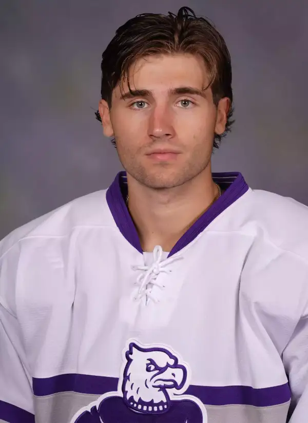 Josh Van Mulligen, Hockey, Niagara University