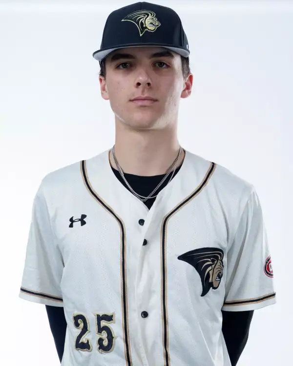 Jack Werkowitch, Baseball, Lindenwood University