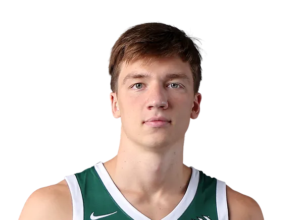 Gytis Nemeiksa, Basketball, undefined