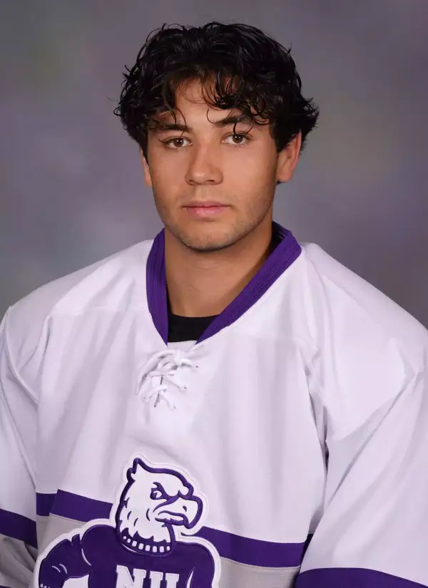 Adam Gionta, Hockey, Niagara University