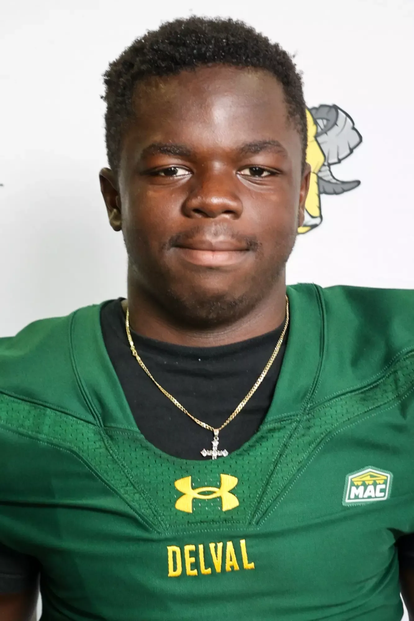 Vincent Henrey, Football, Delaware Valley University
