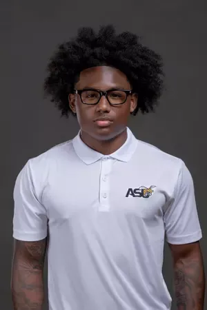 Terence Johnson Jr., Football, undefined