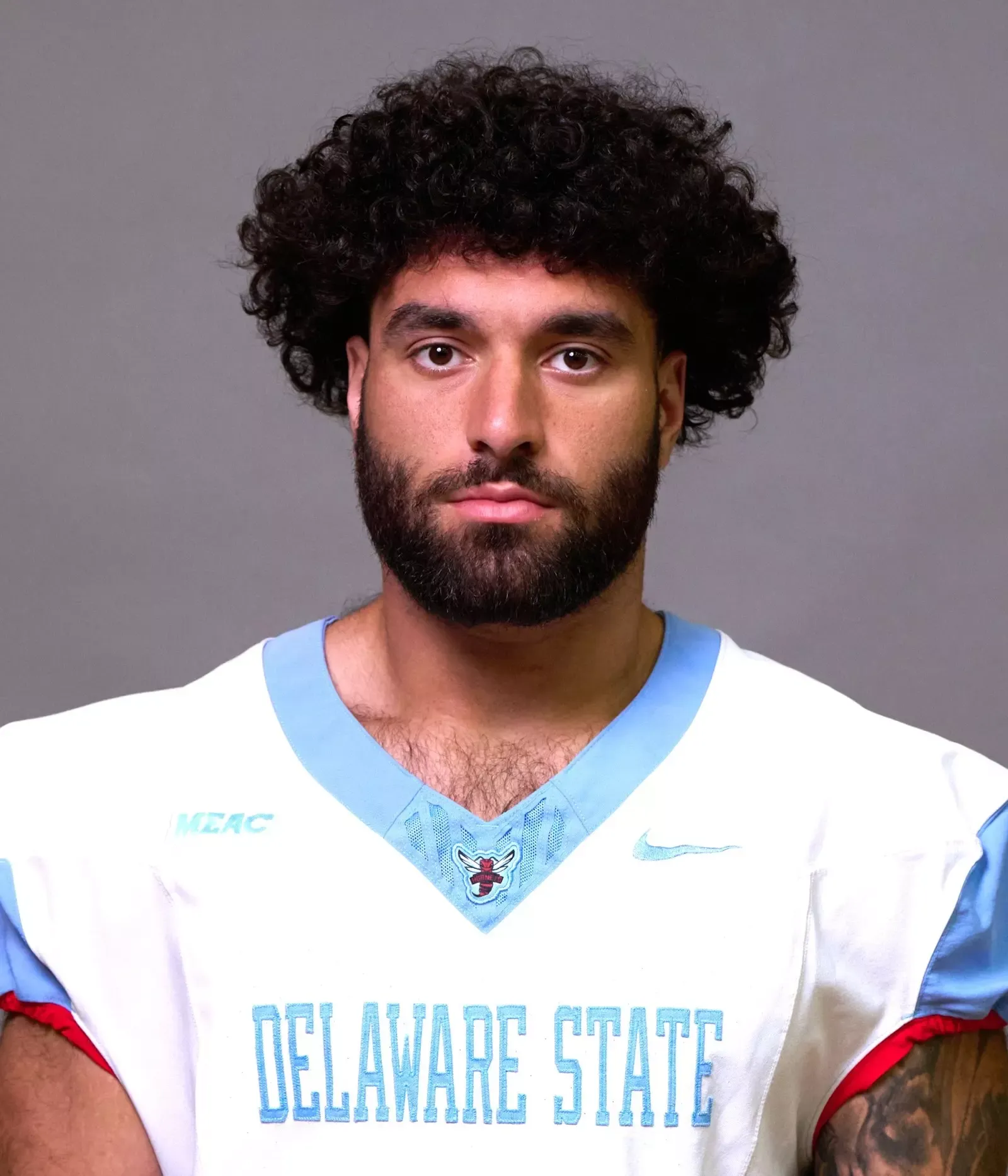 Aaron Armitage, Football, Delaware State University