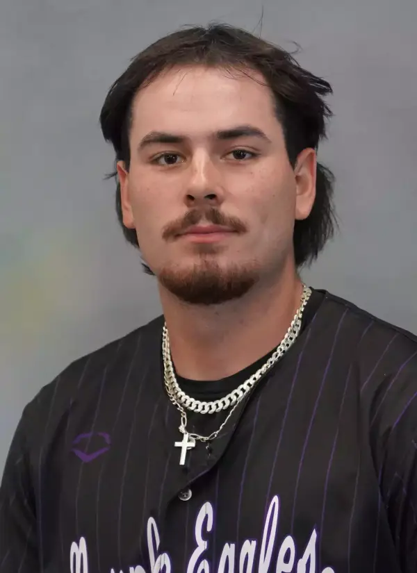Ethan McNish-Heider, Baseball, Niagara University