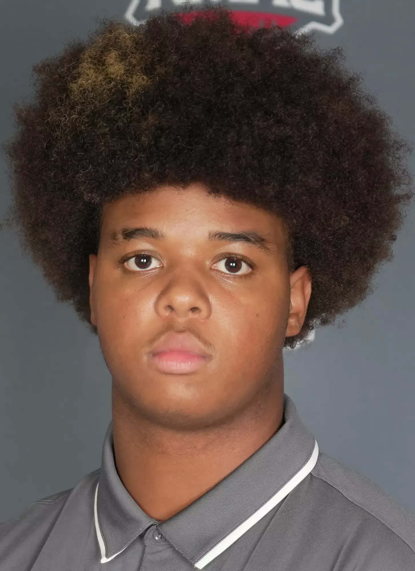 Nate Johnson, Football, Western Colorado University