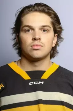 Teydon Trembecky, Hockey, undefined