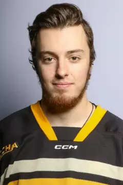 Stiven Sardarian, Hockey, undefined