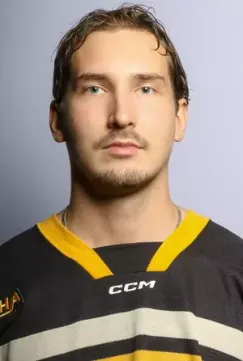 Max Koskipirtti, Hockey, undefined