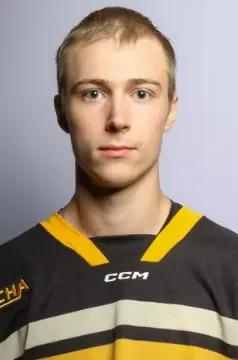 Matthew Van Blaricom, Hockey, undefined