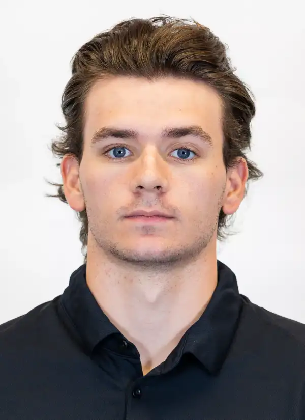Antoine Dorion, Hockey, Maryville University