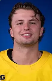 Luca Fantilli, Hockey, undefined