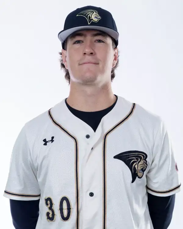 Dillon Haftorson, Baseball, Lindenwood University