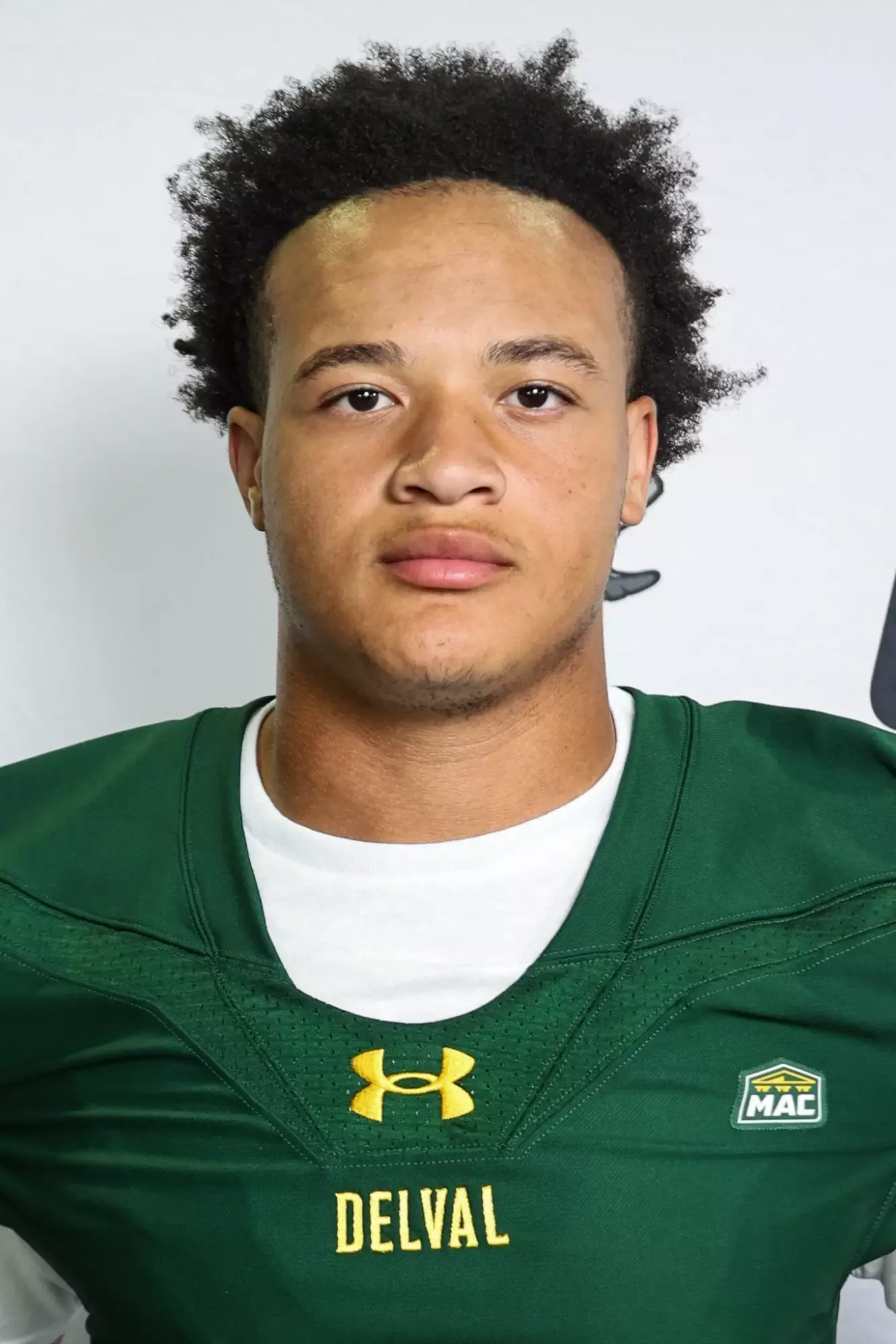 Isaiah Palmer, Football, Delaware Valley University