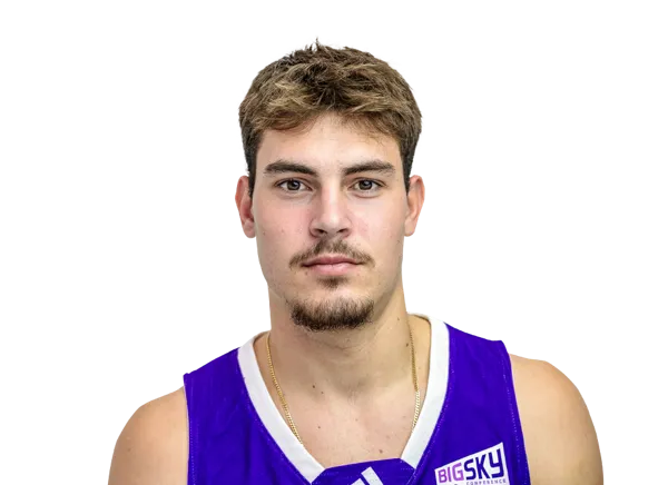 Nemanja Sarenac, Basketball, Weber State University