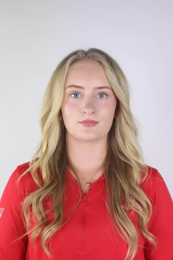 Linn Mattsson, Hockey, Rensselaer Polytechnic Institute