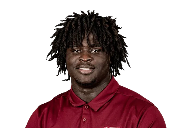 Elhadj Fall, Football, Virginia Tech