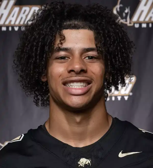 Kasey Lehman, Football, Harding University