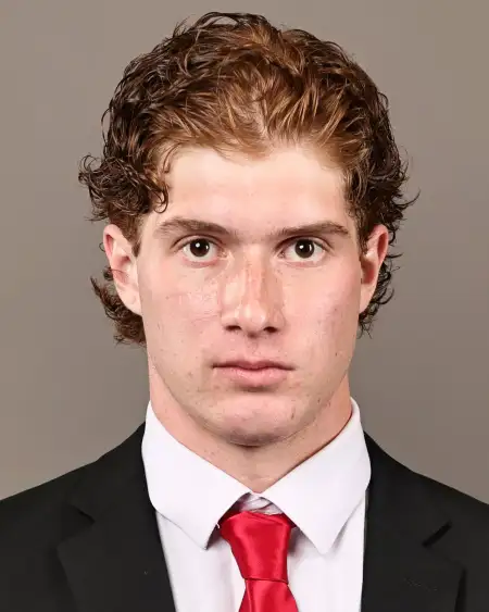 Ivan Zadvernyuk, Hockey, Cornell University