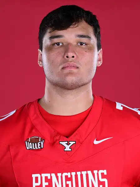 Robert Hayes, Football, Youngstown State University