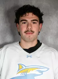 Zachary Benayon, Hockey, Long Island University