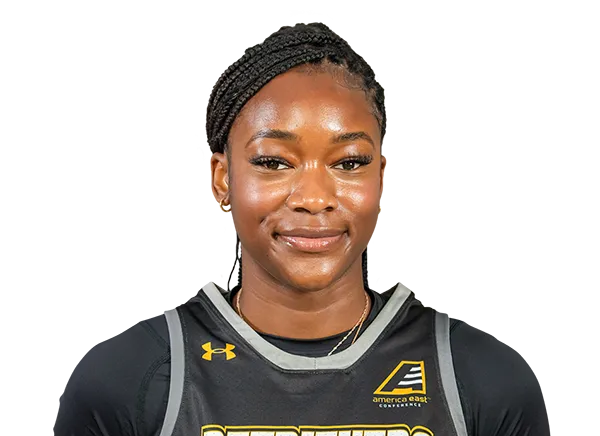 Abimbola Adewumi, Basketball, Niagara University