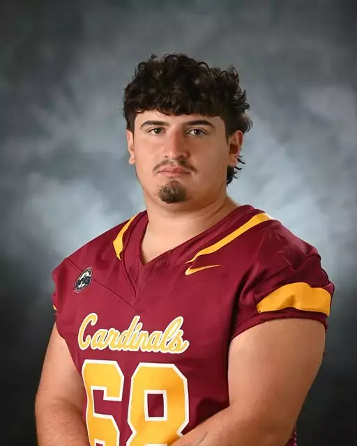 Santino Perri, Football, St. John Fisher University