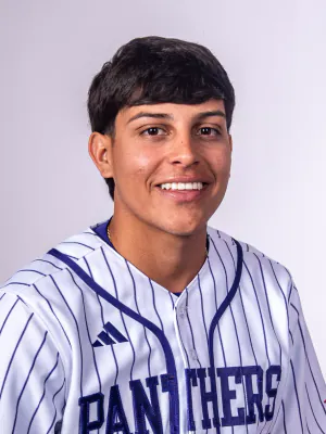 Dylan Diaz, Baseball, undefined
