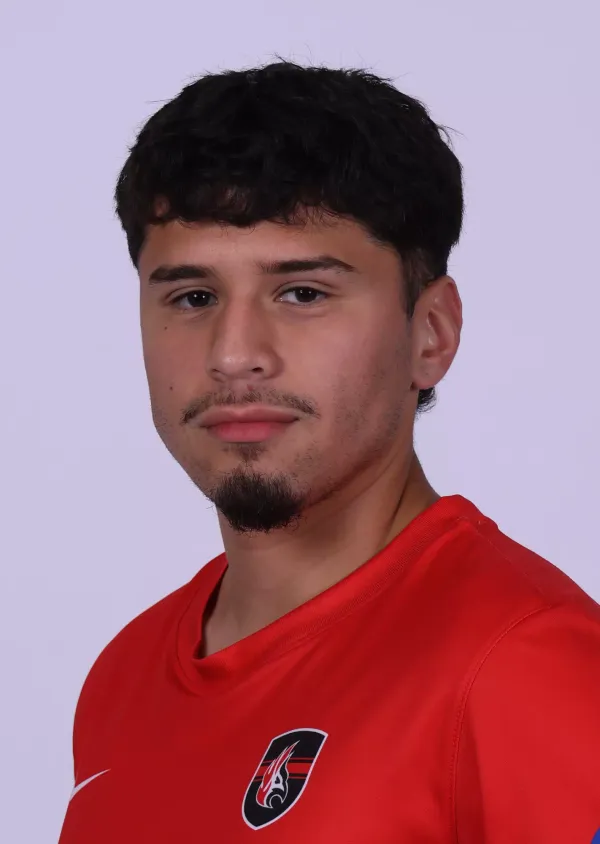 Erik Sanchez, Soccer, Carthage College
