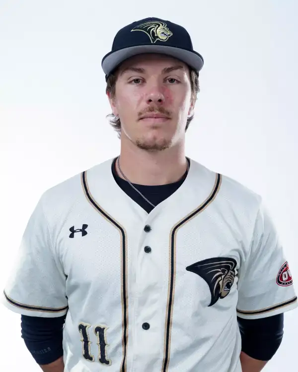 Aaron Jungers, Baseball, Lindenwood University