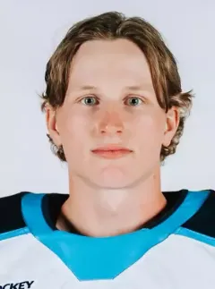 Albin Boija, Hockey, undefined