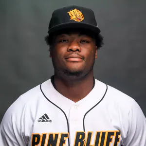 Landon Holcomb, Baseball, University of Arkansas-Pine Bluff
