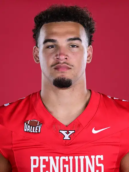 Michael Wells, Football, Youngstown State University