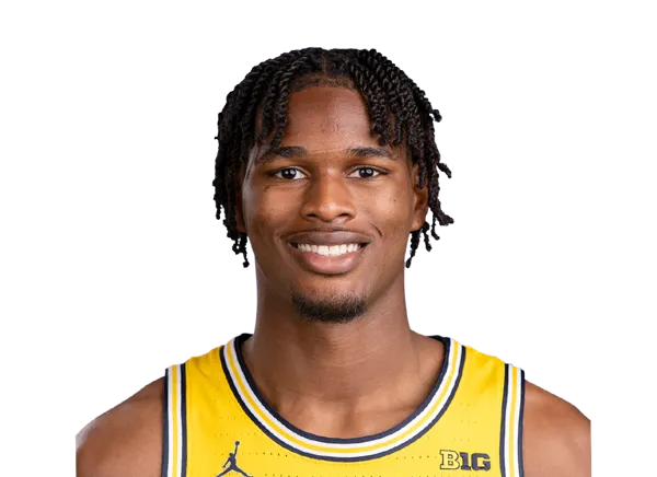 Morez Johnson Jr., Basketball, University of Michigan