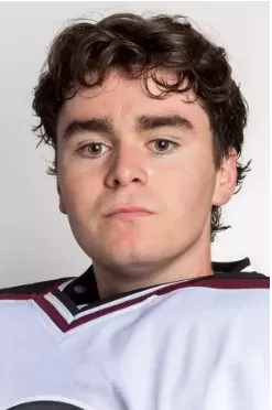 Brayden Gillespie, Hockey, undefined