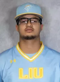 Fayz Baig, Baseball, Long Island University