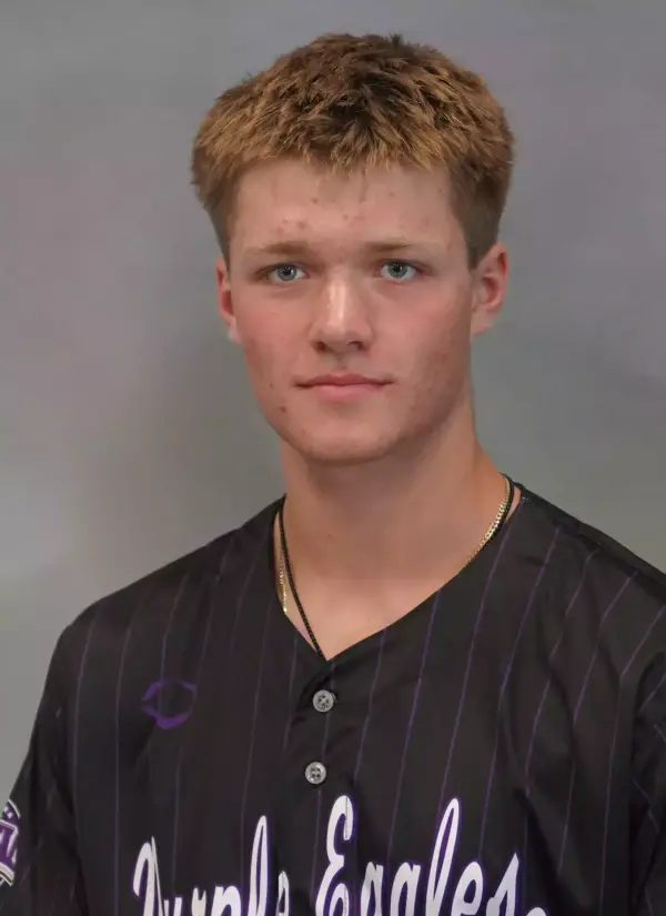 Matthew Ganschow, Baseball, Niagara University