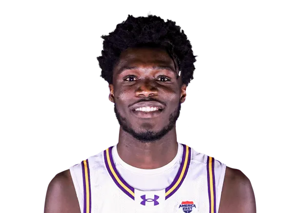 Abdoulaye Fall, Basketball, University at Albany