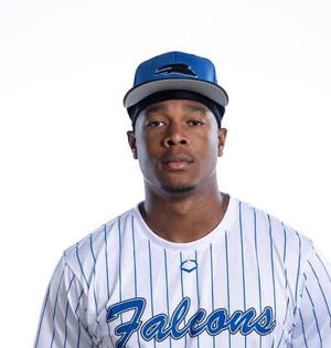 David Falloon, Baseball, undefined