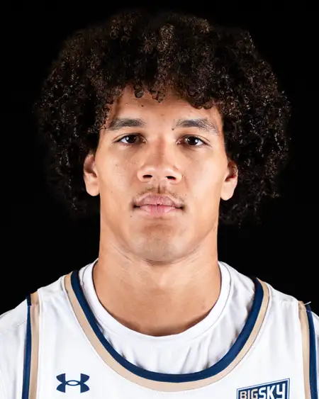 Hale Hansen, Basketball, Montana State University