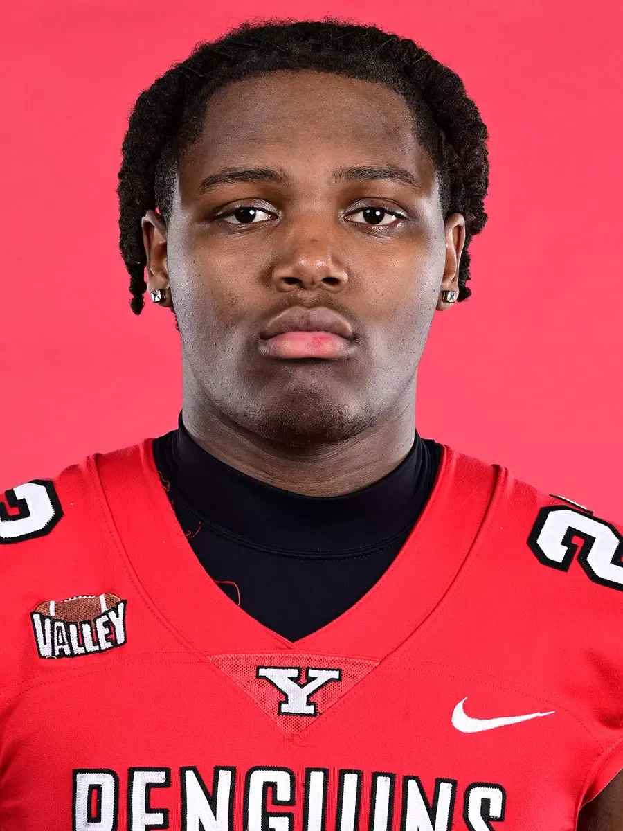 Stephen Henderson, Football, Youngstown State University